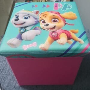 Caja de Almacenamiento Infantil de Paw Patrol